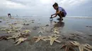 Seorang anak bermain dengan bintang laut yang terdampar di Garden City Beach, South Carolina, Amerika Serikat, Senin (29/6/2020). Kehadiran ribuan bintang laut yang terdampar menyita perhatian warga serta wisatawan untuk mengembalikan mereka ke laut. (Jason Lee/The Sun News via AP)
