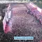 Kemeriahan Karnaval HUT RI, Warga Tumpah Ruah dari Monas hingga HI
