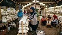 Inspirasi Budidaya Jamur Tiram untuk Ibu-Ibu Desa: Peluang Usaha Rumahan yang Menjanjikan