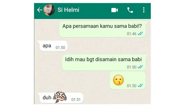 6 Chat National Pig Day ke Teman Ini Kocak, Ujungnya Bikin Emosi
