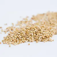 Ilustrasi ketumbar/copyright fimela/daniel kampua