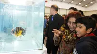Menteri Kelautan dan Perikanan, Susi Pudjiastuti menyatakan Indonesia dapat merajai pasar ikan hias dunia, mengalahkan Singapura. (Dok.KKP)