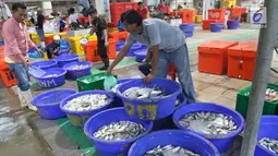 Pedagang menata ikan di Pelelangan ikan Muara Baru, Jakarta, Sabtu (6/7/2019). Berdasarkan data Kementerian Kelautan dan Perikanan, selama semester I-2019 nilai ekspor produk perikanan Indonesia mencapai Rp40 triliun. (Liputan6.com/Angga Yuniar)