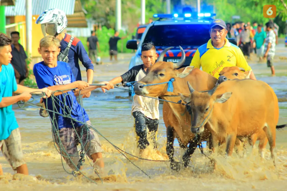 Banjir bandang yang menerjang Kabupaten Bone Bolango (Bonebol) pada 2019 silam (Arfandi Ibrahim/Liputan6.com)
