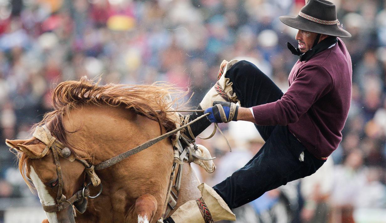 Seorang Gaucho nyaris terjatuh dalam Criolla del Prado di Montevideo, Uruguay, Rabu (12/4). Selama Pekan Paskah, para gauchos dari Amerika Selatan bersaing dalam kompetisi. (AP Photo / Matilde Campodonico)