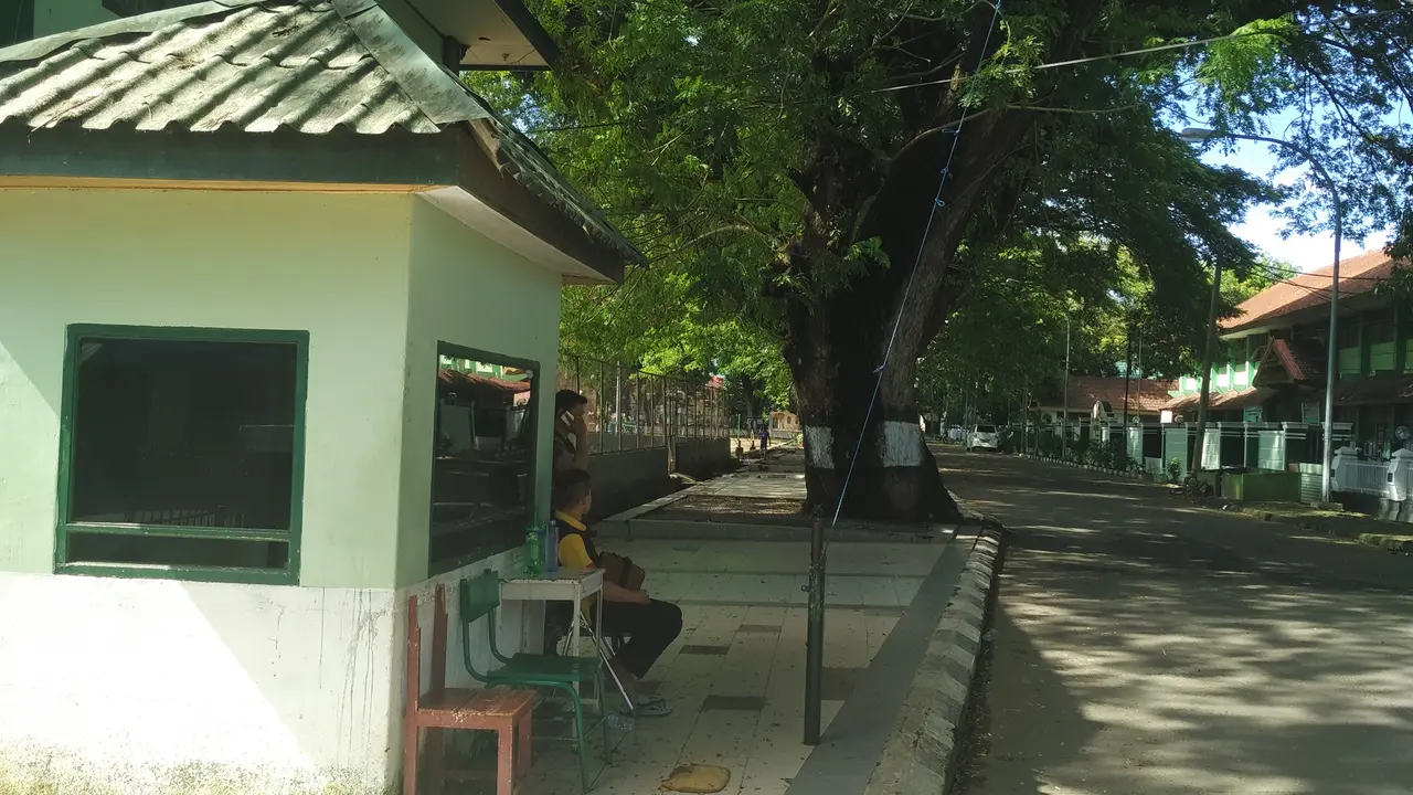 Di Kota Ini Ada Tamasya Pohon Beringin Angker