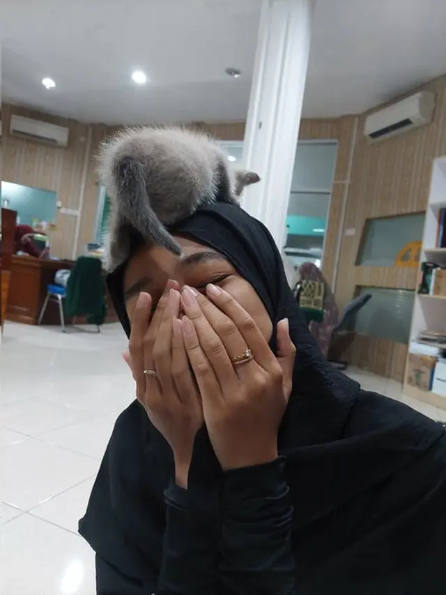 6 Tingkah Kucing di Atas Kepala Ini Bikin Elus Dada, Latih Kesabaran