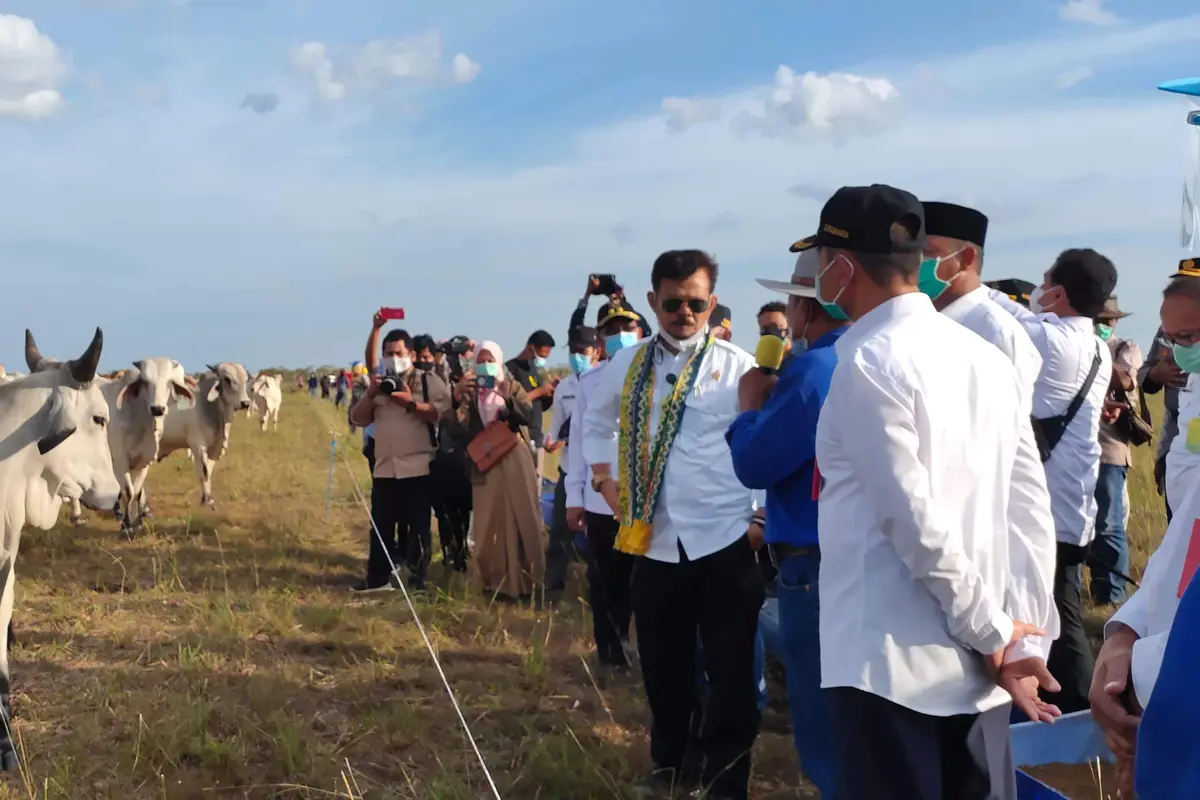 Mentan Apresiasi Kinerja Pemkab Sukamara Jalankan Proyek Lumbung Pangan