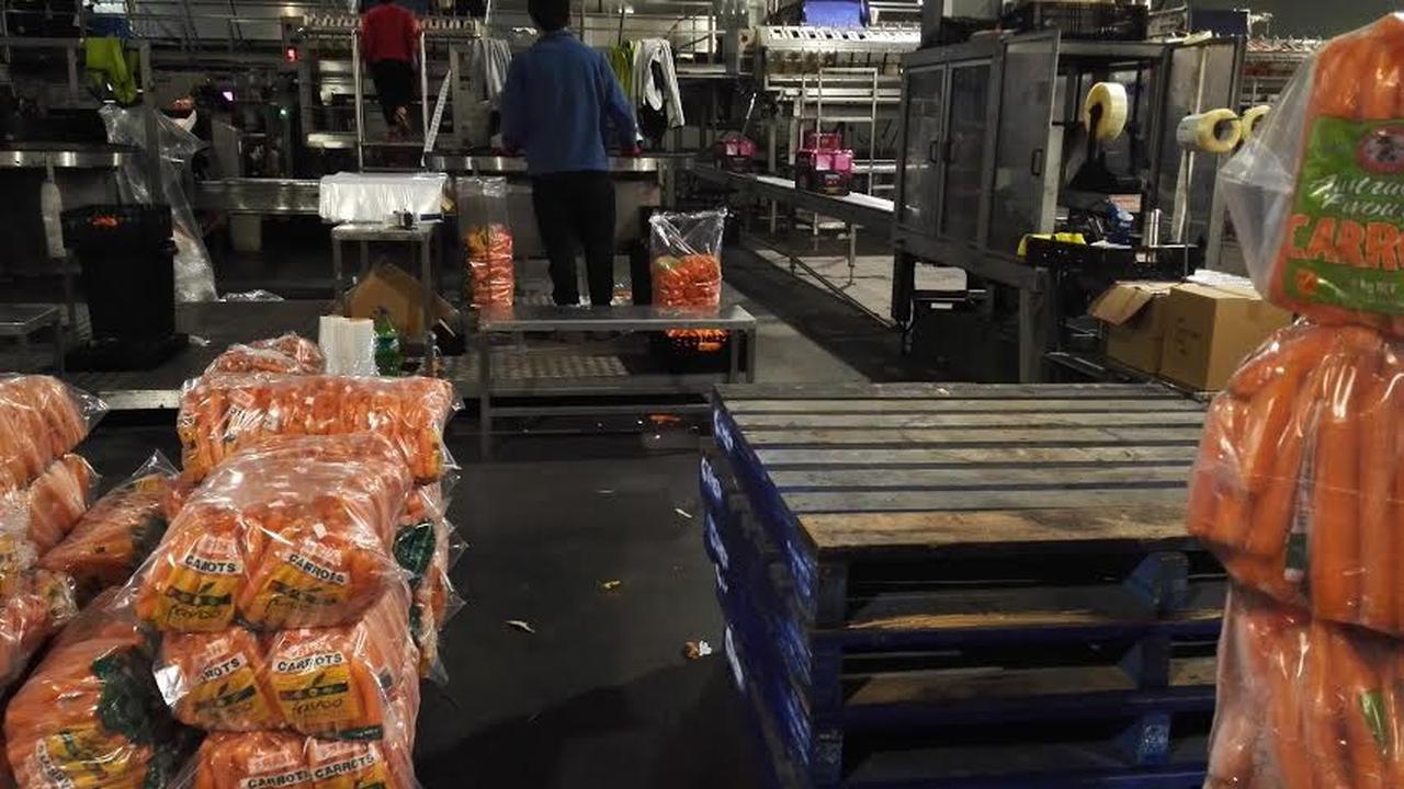 Perusahaan pengemasan wortel Rocky Lamattina di Mildura, VIctoria, Australia. (Liputan6.com/Tanti Yulianingsih)