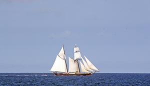 Ilustrasi Kapal. (Unsplash - Ilse Orsel)