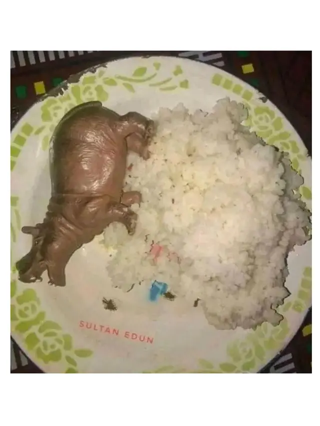 6 Potret Makan Nasi Tanpa Lauk, Sering Dialami Anak Kos
