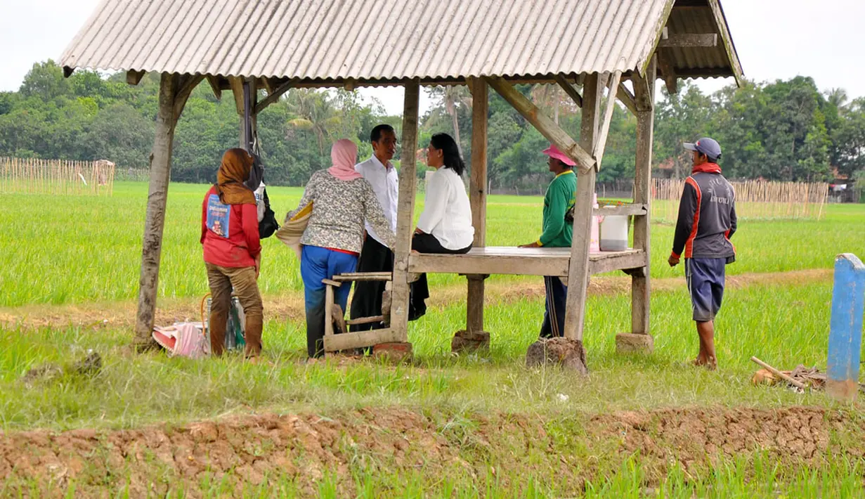 Presiden Joko Widodo berbincang dengan petani saat kunjungan ke Subang, Jabar, Jumat (26/12). Presiden Joko Widodo menyerahkan 1.099 unit traktor tangan kepada 19 kelompok tani dan sembilan perwakilan kelompok. (ANTARA FOTO/Agus Suparto)