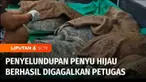 Satreskrim Polres Jembrana menggagalkan upaya penyelundupan belasan ekor penyu hijau di Bali. Satu orang tersangka ditangkap, sementara kondisi penyu memprihatinkan.