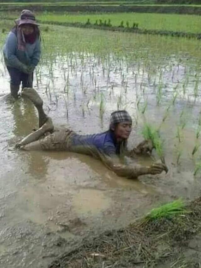 6 Kelakuan Bapak-Bapak saat Menamam Ini Bikin Geleng Kepala