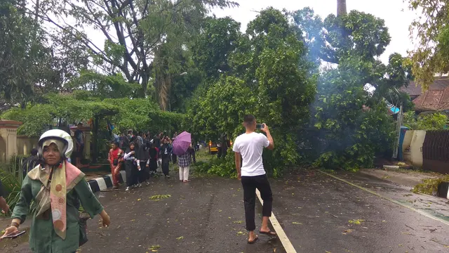 Badai