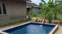 Inovasi Desain Kolam Ikan Lele di Lahan Sempit. Gemini