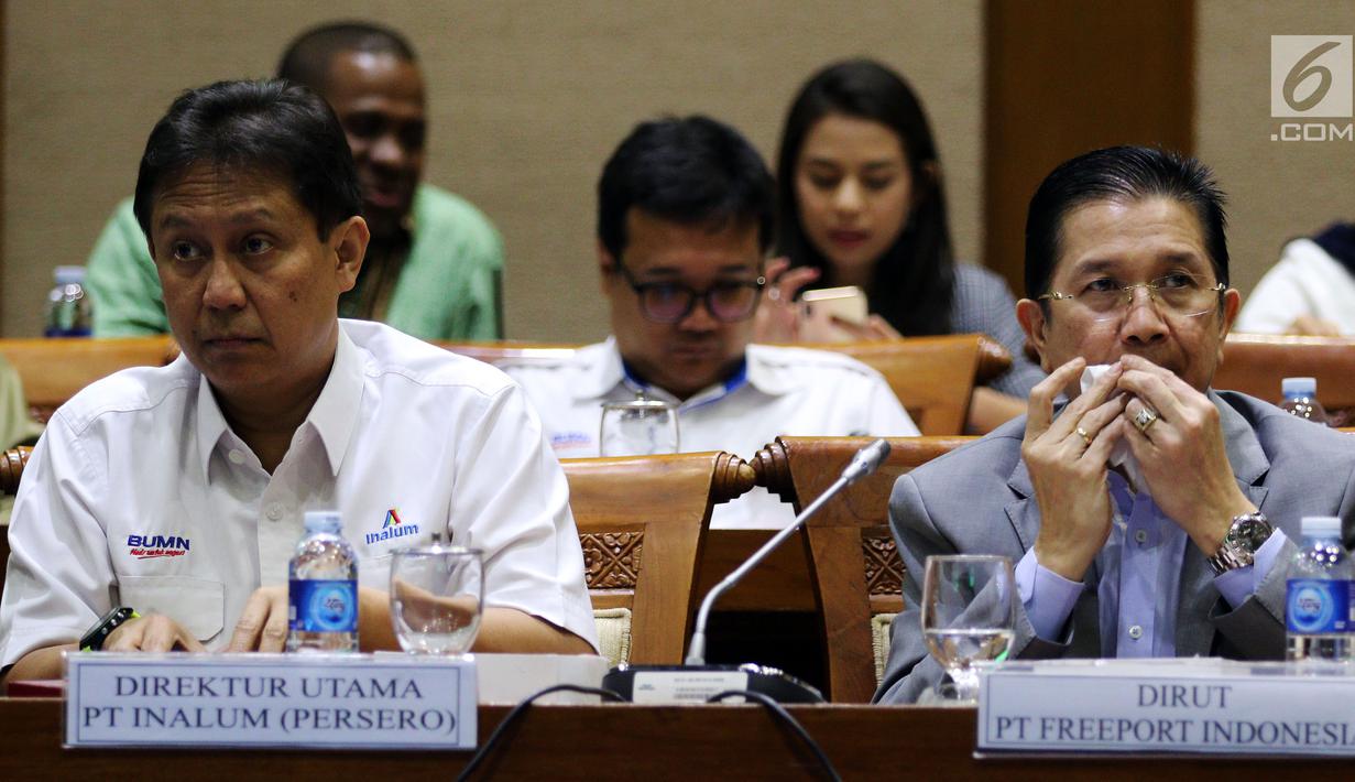 Dirut PT Indonesia Asahan Alumunium (Inalum) Budi Gunadi Sadikin (kiri) dan Dirut Freeport Tony Wenas saat menghadiri rapat kerja dengan Komisi VII DPR di Gedung Nusantara I, Jakarta (15/1). (Liputan6.com/JohanTallo)