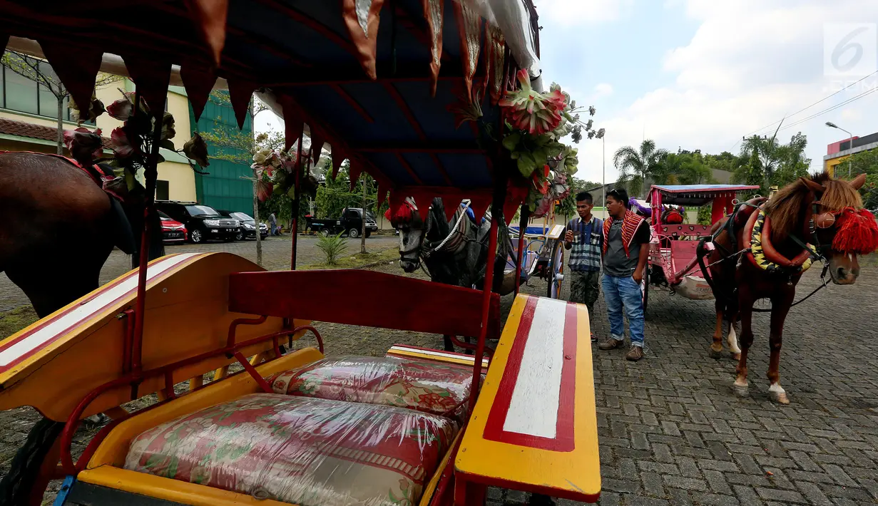 Sejumlah delman disiapkan untuk acara arak-arakan ngunduh mantu Kahiyang-Bobby di Medan, Rabu (22/11). Puluhan andong dan becak motor sudah dipersiapkan untuk memeriahkan arak-arakan ngunduh mantu Kahiyang-Bobby. (Liputan6.com/Johan Tallo)