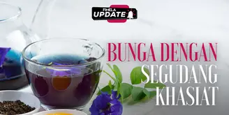 Fimela Update: Bunga Telang