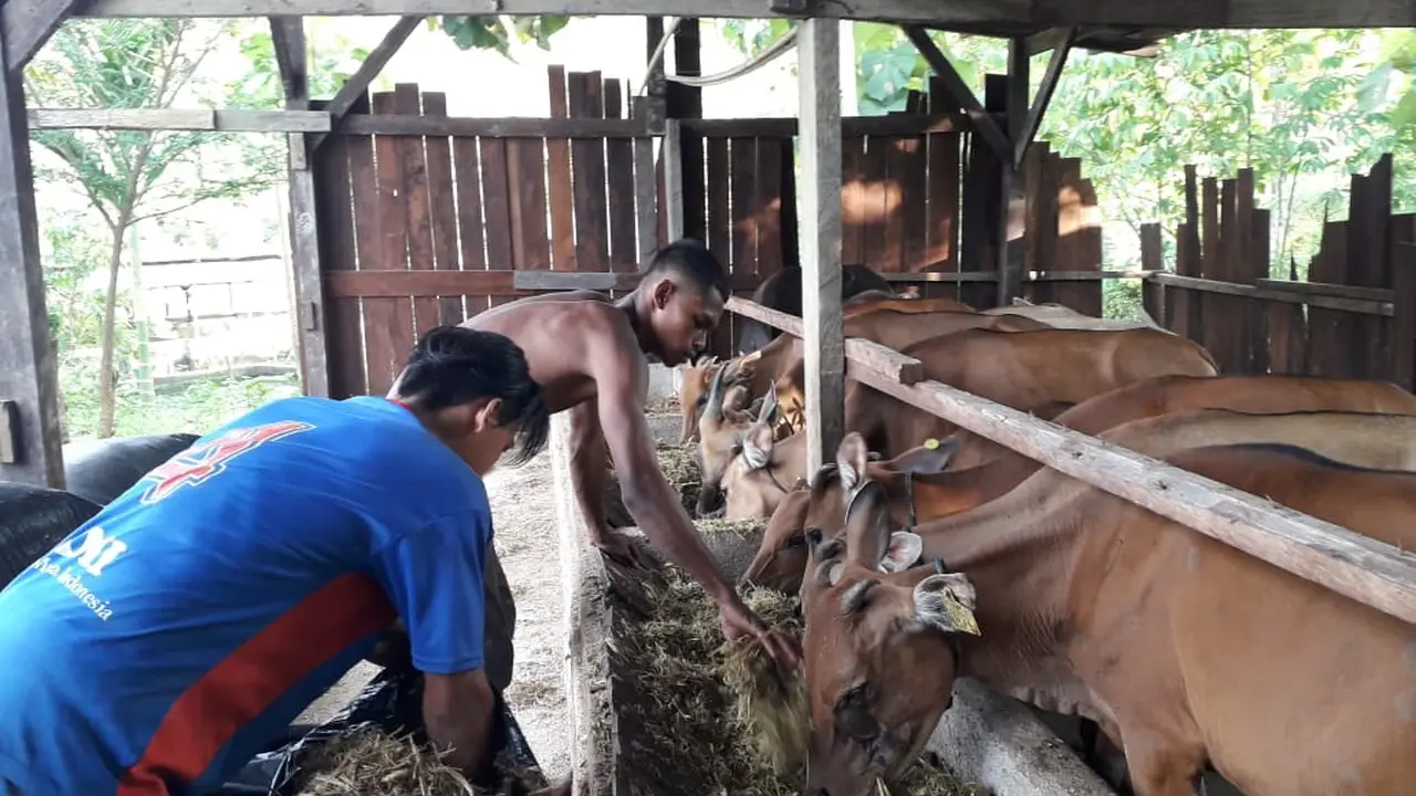 Langkah Cerdik Mitra Binaan Pertamina untuk Penuhi Kebutuhan Pangan di Timur Indonesia
