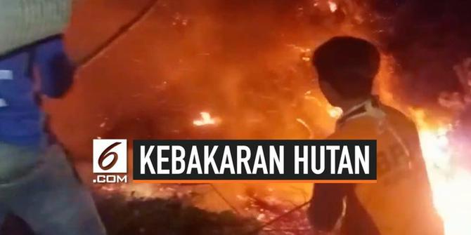 VIDEO: Kebakaran Gunung Slamet Meluas ke Tiga Kabupaten