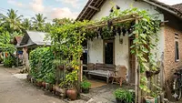 Tips Menanam Buah di Teras Rumah Desa Agar Cepat Panen dan Subur