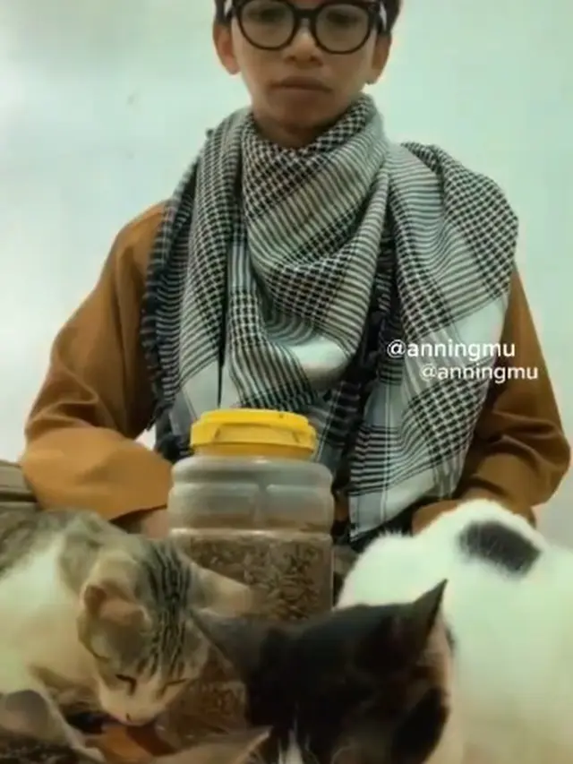 Dermawan, Pria Ini Rutin Beri Makan Kucing Liar yang Kelaparan