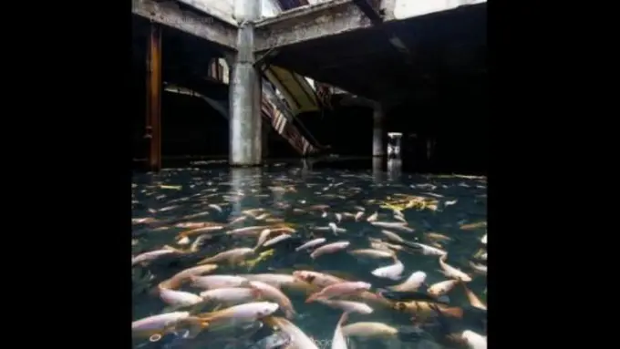 Ini Potret-potret Alam yang 'Merebut' Keserakahan Manusia