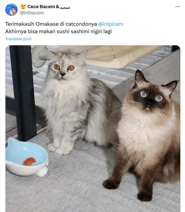 6 Potret kocak omakase low budget versi warga +62 ini bikin ngakak