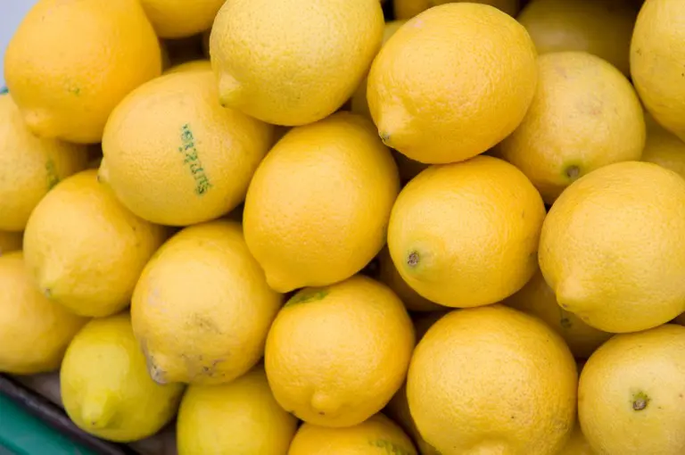 Lemon dapat untuk meringankan warna kulit dan juga mengurangi bekas jerawat. Gosok bagian dalam kulit lemon pada siku Anda dapat menghilangkan flek hitam. Campuran lemon dan madu dapat digunakan sebagai pemutih alami pada kulit. (AFP PHOTO/SAUL LOEB)