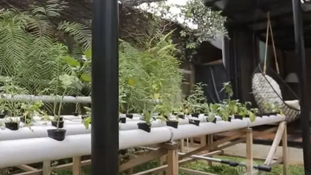 6 Potret Rumah Dwi Sasono dan Widi, Pakai Konsep Green Living dan Asri