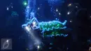Pemain barongsai beraksi di dalam kolam SeaWorld, Ancol, Jakarta, Sabtu (28/1). Atraksi barongsai ini untuk memeriahkan perayaan Tahun Baru Imlek 2568. (Liputan6.com/Helmi Fithriansyah)