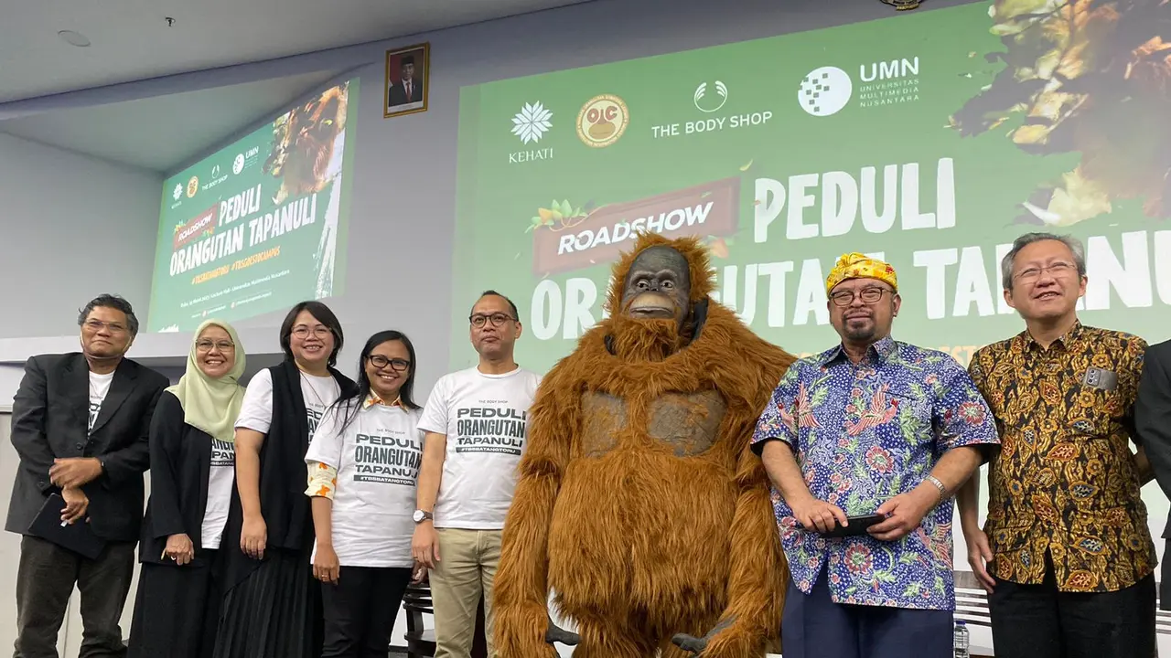 Orangutan