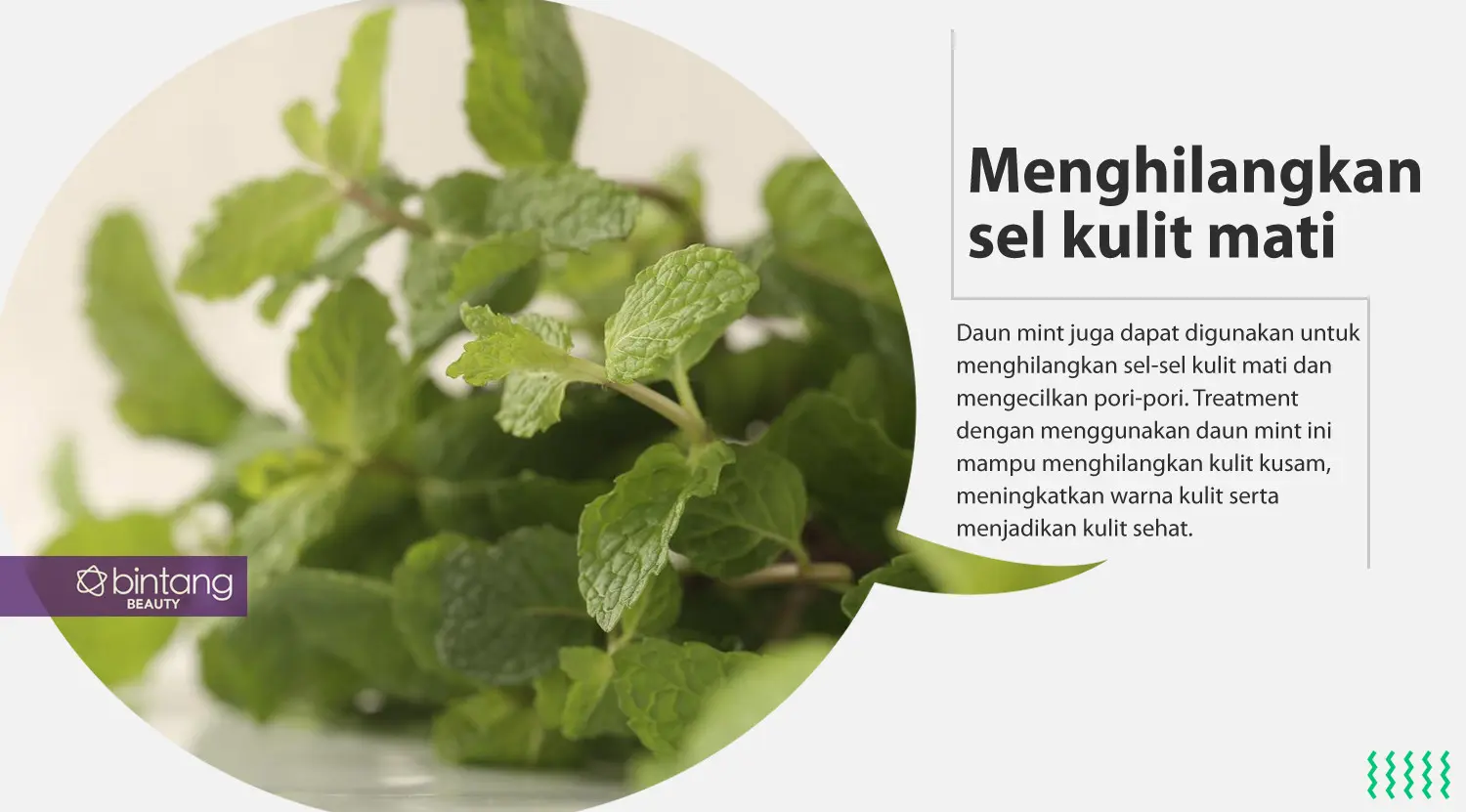 Daun mint untuk perawatan kulit wajah. (Sumber foto: Daniel Kampua/Bintang.com, Digital Imaging: Nurman Abdul Hakim/Bintang.com)