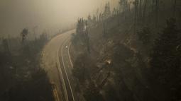 Sebuah mobil melewati pepohonan yang hancur akibat kebakaran hutan di Santa Juana, Chili, Minggu (5/2/2023). Kebakaran yang meluas itu juga dilaporkan menyebabkan sedikitnya 979 orang terluka dan lebih dari 1.100 orang emngungsi ke tempat penampungan, menurut keretrangan resmi, Sabtu. (AP Photo/Matias Delacroix)