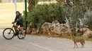 Pengendara sepeda melihat di Yarkon Park di kota pesisir Israel, Tel Aviv pada 13 April 2020. Lusinan serigala mengambil alih sebuah taman yang sepi karena penerapan lockdown akibat virus Corona untuk mencari makanan di tempat yang biasanya digunakan olahraga, piknik dan berjemur. (JACK GUEZ/AFP)