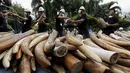 Petugas memegang gading gajah sitaan di Departemen Taman Nasional, Margasatwa dan Konservasi Tanaman, Bangkok, Thailand, Rabu (26/8/2015). Sekitar dua gading gajah dihancurkan dengan cara dibakar . (REUTERS/Chaiwat Subprasom)