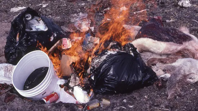 Bakar Sampah Picu Beragam Penyakit Bahaya