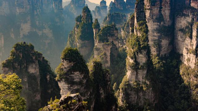 Zhangjiajie National Forest