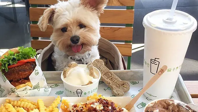 Photo: Copyright boredpanda.com