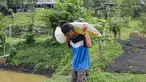 Peternak membawa bibit arwana yang akan dibesarkan pada kolam besar di Farm Royal Red Arowana yang terletak di kawasan Jasinga, Bogor, Jawa Barat, Sabtu (15/11/2025). Di balik sisik berkilau dan gerakannya yang elegan, ikan arwana telah lama menjadi bintang di dunia ikan hias. Tidak hanya digemari karena keindahannya, arwana juga dikenal sebagai salah satu ikan hias dengan nilai jual paling tinggi, bahkan beberapa jenis langkanya pernah menembus harga ratusan juta rupiah per ekor. (merdeka.com/Arie Basuki)