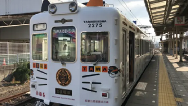 Kereta Tama