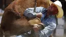 Wade Sumpter dari Fowler, Colorado bergulat berusaha keras menaklukkan sapi liar di festival rodeo Calgary Stampede di Alberta, Kanada, (6/7/2014). (REUTERS/Todd Korol) 