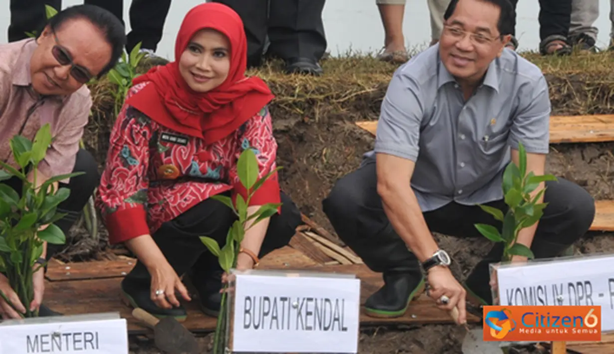 Citizen6, Kendal: Pelaksanaan kegiatan ATM dilakukan dengan menanam mangrove sebanyak 294 ribu bibit mangrove. (Pengirim: Efrimal Bahri)