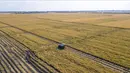 Foto dari udara memperlihatkan seorang warga desa memanen padi di sebuah sawah di wilayah Yongji, Jilin, Provinsi Jilin, China timur laut, 16 September 2020. Sawah-sawah di Jilin telah memasuki musim panen. (Xinhua/Zhang Nan)
