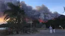 Suasana kebarakan hutan di perbukitan di sebelah jalan raya CA-126, sebelah barat laut Fillmore, California, (7/12). kebakaran ini telah melahap lahan dan rumah selama berhari-hari. (AP Photo / Amanda Lee Myers)