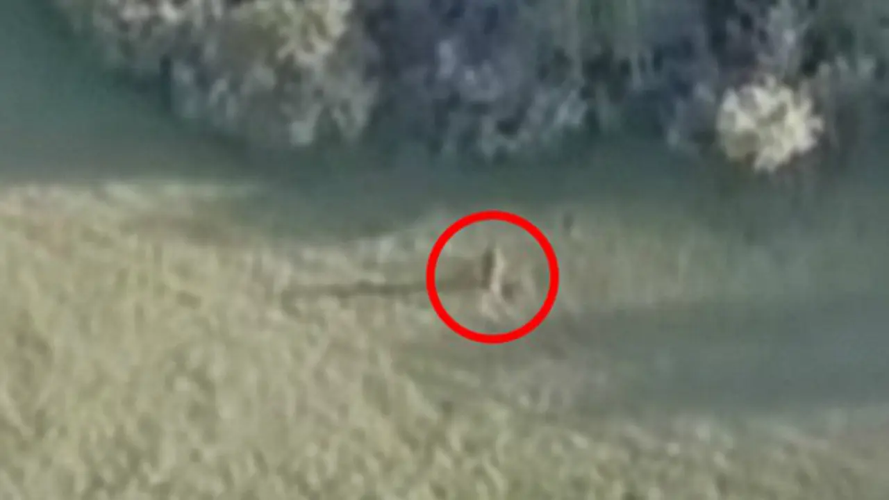Drone Bigfoot (2)