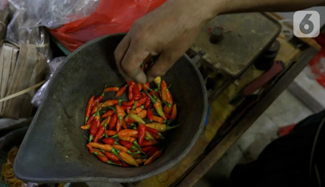 Tercatat, harga cabai rawit merah sudah menyentuh Rp100.000 per kilogram (kg) di berbagai daerah. (Liputan6.com/Herman Zakharia)