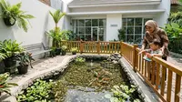 6 Ide Kolam Ikan yang Aman untuk Rumah dengan Lansia dan Balita, Cantik Tanpa Mengorbankan Keamanan