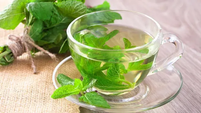 5 Manfaat Teh Daun Mint